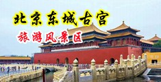 骚骚的黄色视频爽中国北京-东城古宫旅游风景区